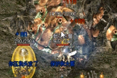 月卡传奇里道士作战能力弱的都是不会打