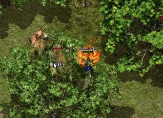 赢家的宝箱里有什么是王牌活动