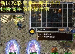 新区攻略宝典：新手小白进阶高手的终极指南