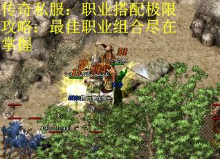 传奇私服：职业搭配极限攻略：最佳职业组合尽在掌握