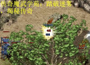 传奇魔武学苑:踏破迷雾,揭秘传奇 传奇魔武学苑:踏破迷雾,揭秘传奇