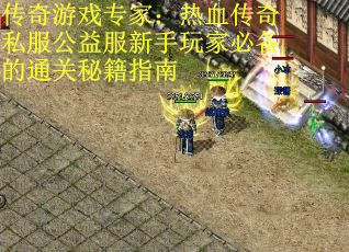 传奇游戏专家：热血传奇私服公益服新手玩家必备的通关秘籍指南