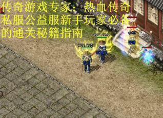 传奇游戏专家：热血传奇私服公益服新手玩家必备的通关秘籍指南