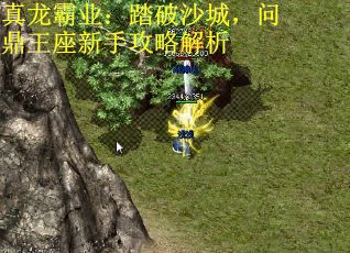 真龙霸业：踏破沙城，问鼎王座新手攻略解析