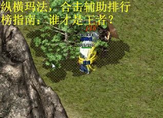 纵横玛法，合击辅助排行榜指南：谁才是王者？