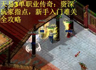 天易3单职业传奇：资深玩家指点，新手入门难关全攻略