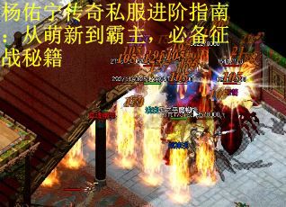 杨佑宁传奇私服进阶指南：从萌新到霸主，必备征战秘籍