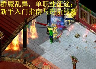 群魔乱舞，单职业征途：新手入门指南与进阶技巧