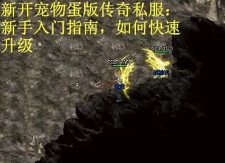 新开宠物蛋版传奇私服：新手入门指南，如何快速升级