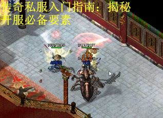 传奇私服入门指南：揭秘开服必备要素