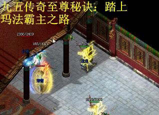 九五传奇至尊秘诀：踏上玛法霸主之路