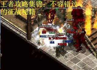 王者攻略集锦：不容错过的征战秘籍