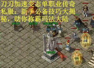刀刀加速变态单职业传奇私服：新手必备技巧大揭秘，助你称霸玛法大陆