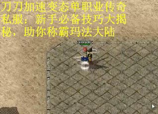 刀刀加速变态单职业传奇私服：新手必备技巧大揭秘，助你称霸玛法大陆