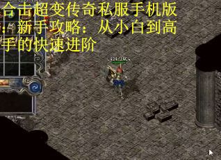 合击超变传奇私服手机版：新手攻略：从小白到高手的快速进阶