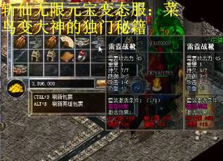 斩仙无限元宝变态服：菜鸟变大神的独门秘籍