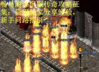 畅易阁怀旧服传奇攻略征集：资深玩家分享经验，新手问路指引