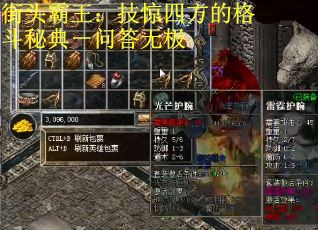 街头霸王：技惊四方的格斗秘典－问答无极