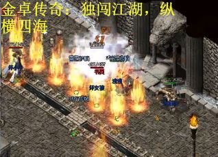 金卓传奇：独闯江湖，纵横四海