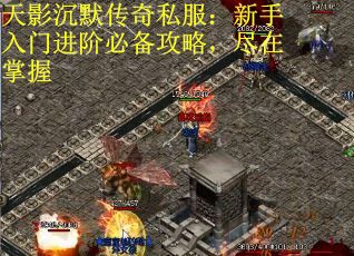 天影沉默传奇私服：新手入门进阶必备攻略，尽在掌握