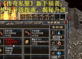《传奇私服》新手福音：快速升级指南，揭秘升级秘诀