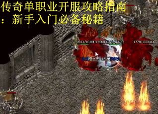 传奇单职业开服攻略指南：新手入门必备秘籍