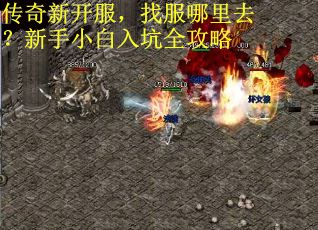 传奇新开服，找服哪里去？新手小白入坑全攻略