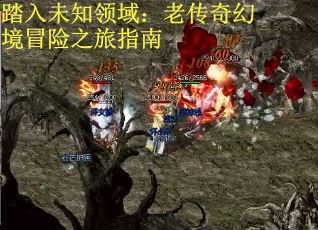 踏入未知领域：老传奇幻境冒险之旅指南