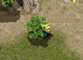 热血传奇风云再起:极品小极品装备,点燃你的战斗激昂