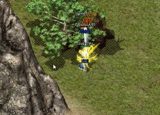 虎啸龙吟,谁主沉浮?传奇纷争,求解巅峰之道