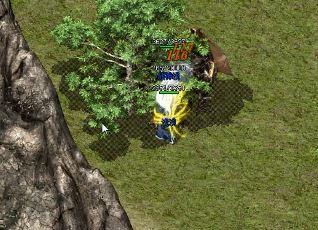 龙渊大陆打金版征战攻略秘籍:破解财富密码 龙渊大陆打金版征战攻略秘籍:破解财富密码