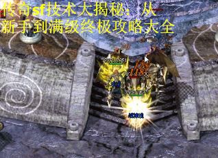 传奇sf技术大揭秘：从新手到满级终极攻略大全