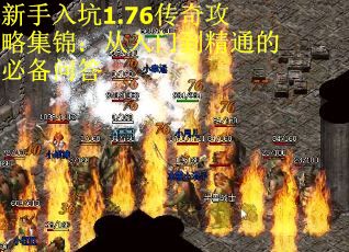 新手入坑1.76传奇攻略集锦：从入门到精通的必备问答