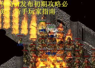 传奇sf发布初期攻略必知：新手玩家指南