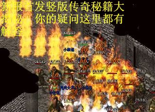 新服首发竖版传奇秘籍大揭秘：你的疑问这里都有解答