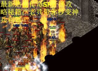 最新热血传奇SF开区攻略秘籍：老兵带你秒变神兵利器