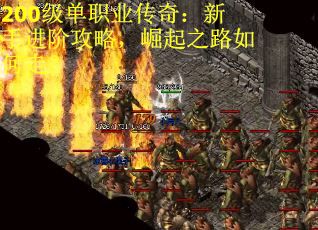 200级单职业传奇：新手进阶攻略，崛起之路如何走？