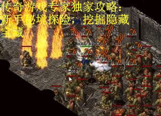 传奇游戏专家独家攻略:新手秘境探险,挖掘隐藏宝藏