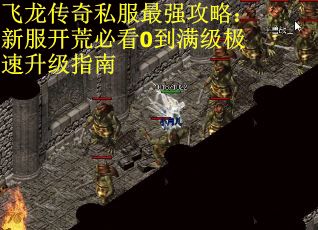 飞龙传奇私服最强攻略：新服开荒必看0到满级极速升级指南