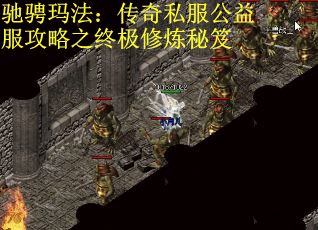 驰骋玛法：传奇私服公益服攻略之终极修炼秘笈