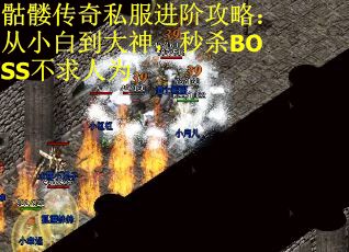 骷髅传奇私服进阶攻略：从小白到大神，秒杀BOSS不求人为