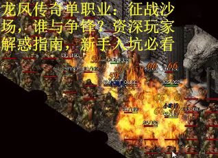 龙凤传奇单职业：征战沙场，谁与争锋？资深玩家解惑指南，新手入坑必看