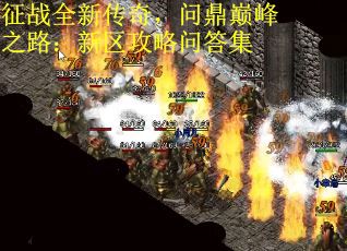 征战全新传奇，问鼎巅峰之路：新区攻略问答集