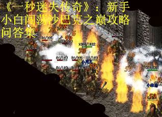 《一秒迷失传奇》：新手小白闯荡沙巴克之巅攻略问答集