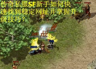 传奇私服SF新手如何快速找到稳定网址并掌握升级技巧？