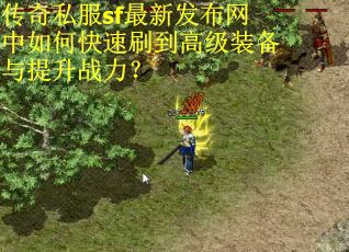 传奇私服sf最新发布网中如何快速刷到高级装备与提升战力？
