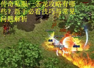 传奇私服一条龙攻略有哪些？新手必看技巧与常见问题解析