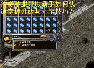 传奇私服开服新手如何快速掌握升级与打宝技巧?