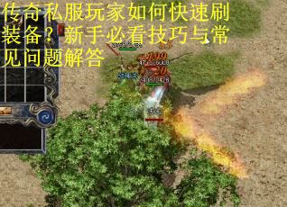 传奇私服玩家如何快速刷装备？新手必看技巧与常见问题解答