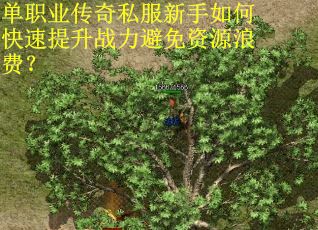 单职业传奇私服新手如何快速提升战力避免资源浪费？